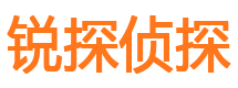 新市市侦探调查公司